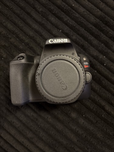 Canon eos rebel sl2 2mp - sl2, 24.2mp